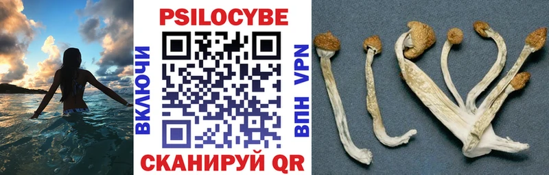 Галлюциногенные грибы Magic Shrooms  mega маркетплейс  даркнет как зайти  Назарово 