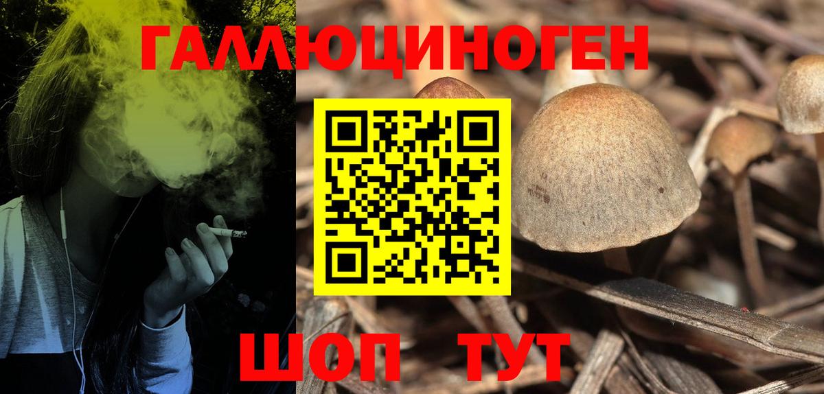 Псилоцибиновые грибы MAGIC MUSHROOMS  Псилоцибиновые грибы прущие грибы  Вход с VPN  Назарово 